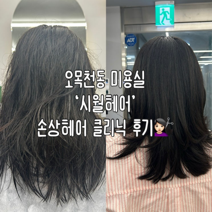  오목천동 미용실 추천 '시월헤어' | 임산부도 가능한 '복구 클리닉' 후기