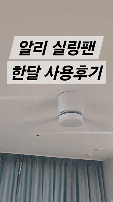  알리 실링팬 장점 단점 한달 사용후기