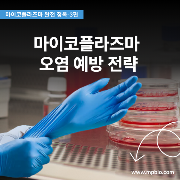  [마이코플라즈마 완전 정복 시리즈 #3] 마이코플라즈마 오염 예방 전략