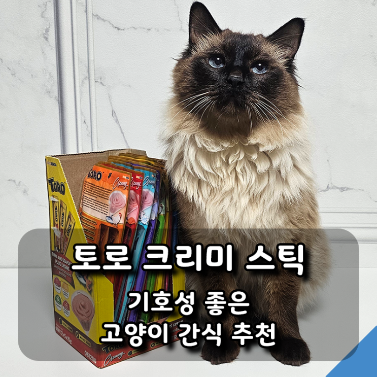  고양이간식 추천 토로크리미스틱