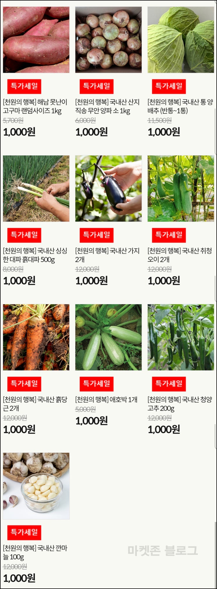  식명관 감자,양배추,대파,등 1,000원딜(유배)전원