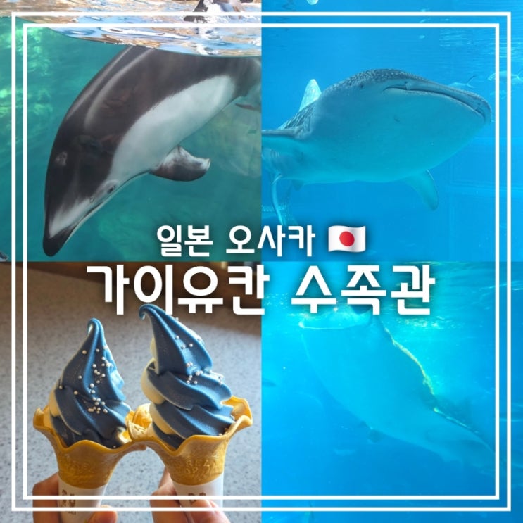  해유관 가이유칸 수족관 || 오사카 고래상어 볼 수 있는 아쿠아리움 실내데이트