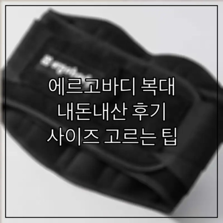  에르고바디 복대 내돈내산 후기, 사이즈 고르는 팁
