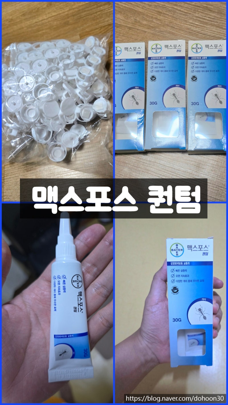 개미 퇴치약 맥스포스 퀀텀 과수원 사용 후기