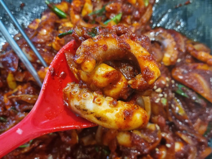  제주도가볼만한곳 연동 맛집 제주정낭집 낙지볶음 쭈꾸미볶음 솔직후기