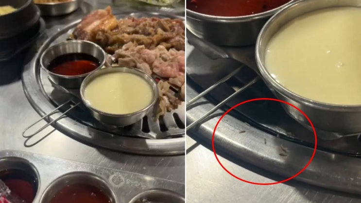  필리핀 한식당 구더기 영상, 진실은? 한국 오해까지 번진 이유