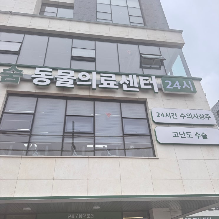  제주 24시 동물병원 ‘숨동물의료센터’ – 믿고 맡길 수 있는 반려동물 주치의