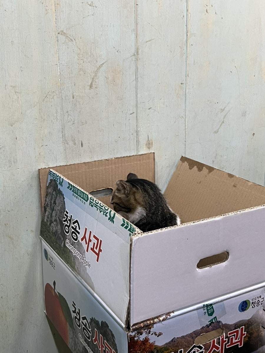 최가네김밥 사진 5