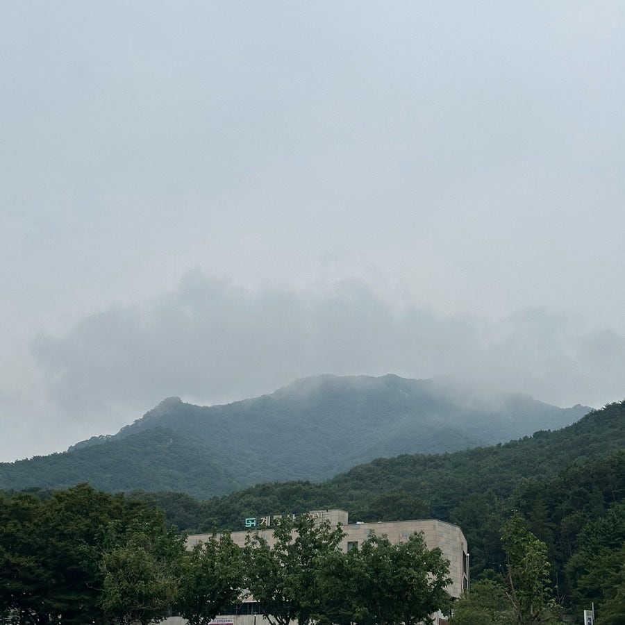 부흥생고기토종닭오리 사진 1