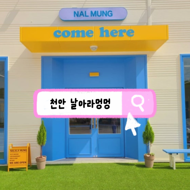 사진 7