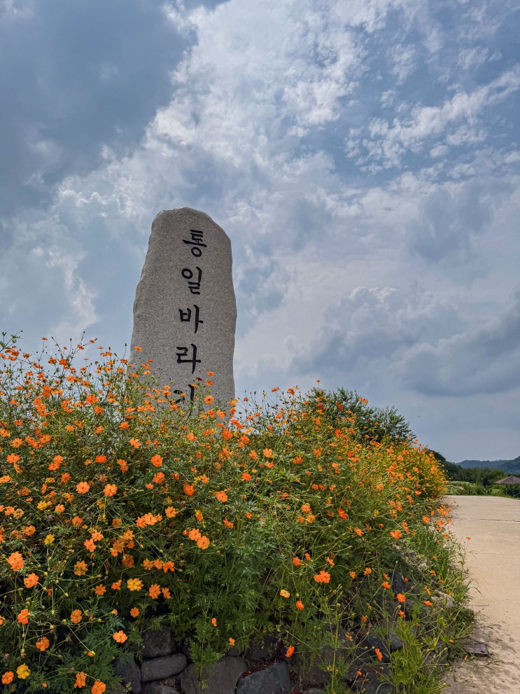  연천 가볼만한곳, 해바라기 축제가 끝난 뒤에 호로고루성 방문한 후기(주차, 금계국과 백일홍)