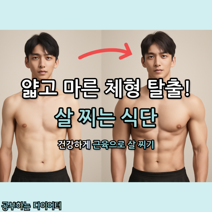  [살찌는식단 완벽 가이드] 근육량으로 건강하게 체중 늘리기