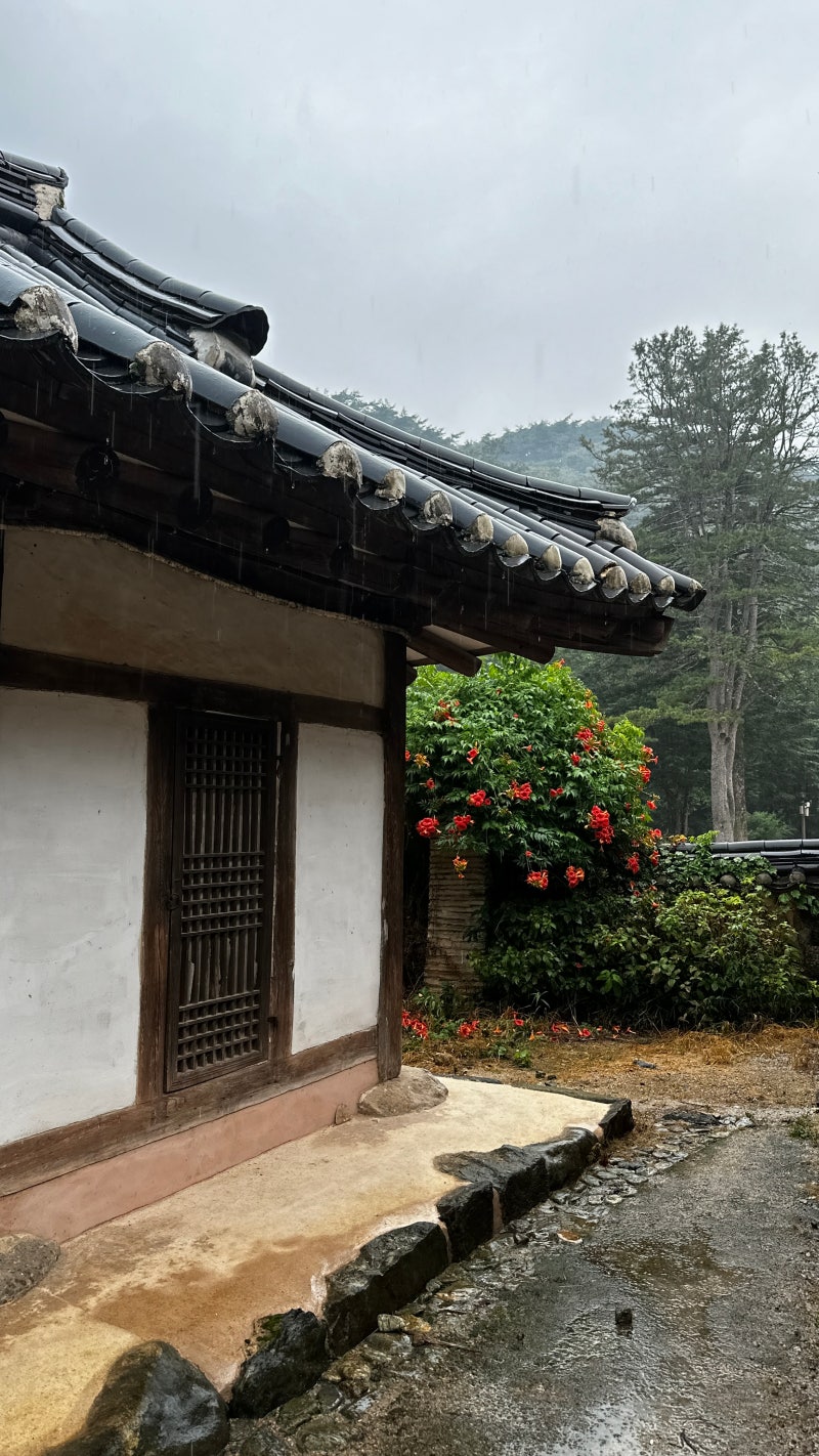 정책지식 2025.8.12. : 네이버 블로그