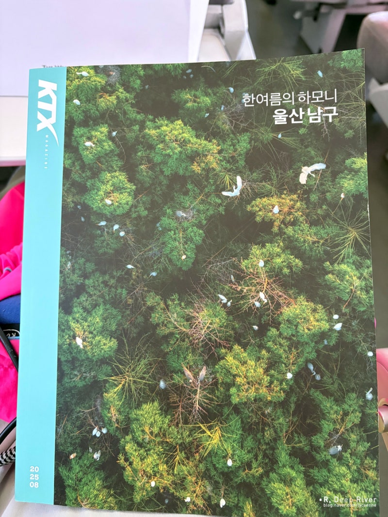 사진 5