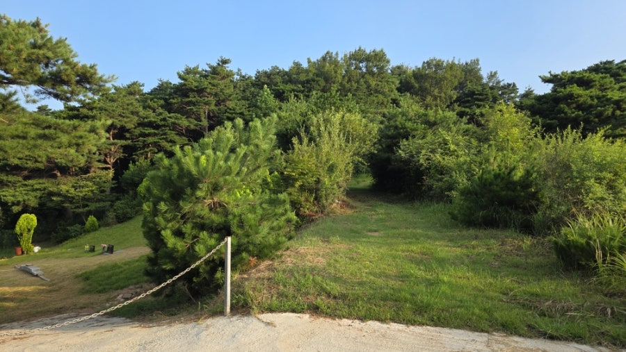 비룡산 사진 5