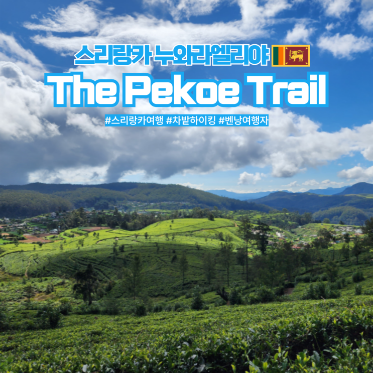  스리랑카 누와라엘리야 차밭 하이킹 Pekoe Trail
