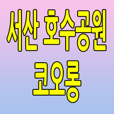  서산 호수공원 코오롱 할인분양 레이크뷰 읍내동 선임대 원룸 분양가