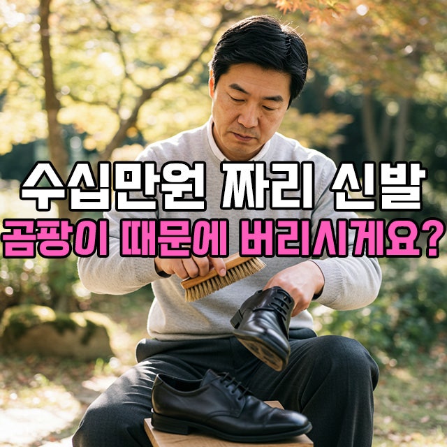 신발 곰팡이 제거, 혹시 물티슈로 닦으셨나요? 가죽, 스웨이드 살리는 진짜 전문 팁