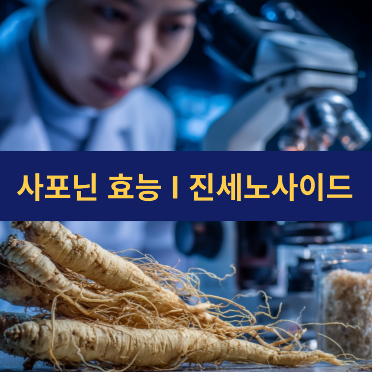  사포닌 효능 | 글루타민 효능 | 진세노사이드 | 홍삼 효능