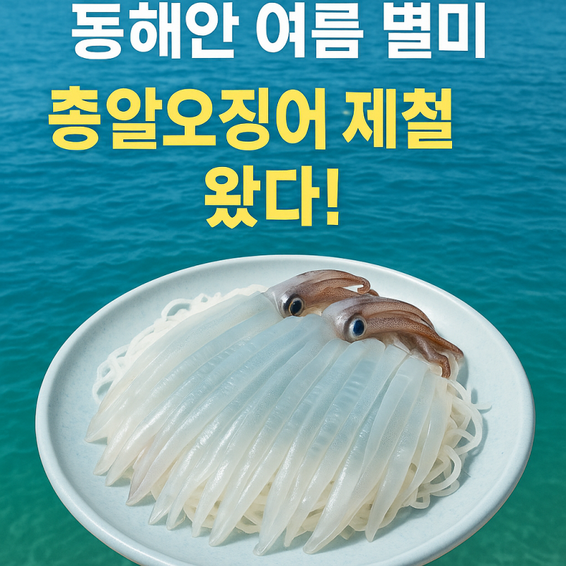 동해안 여름 별미! 총알오징어 제철과 맛있는 요리법, 그리고 잘 잡히는 포인트