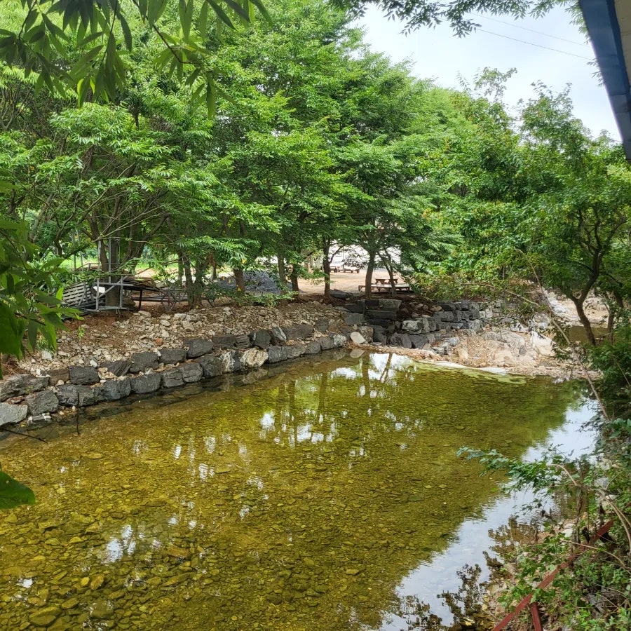 황산야영장 사진 3