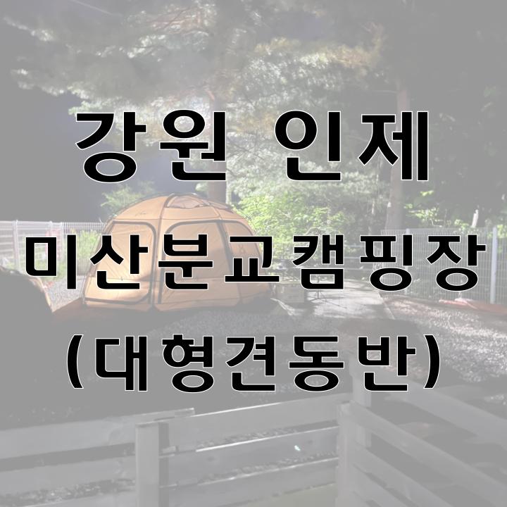 미산분교 캠핑장