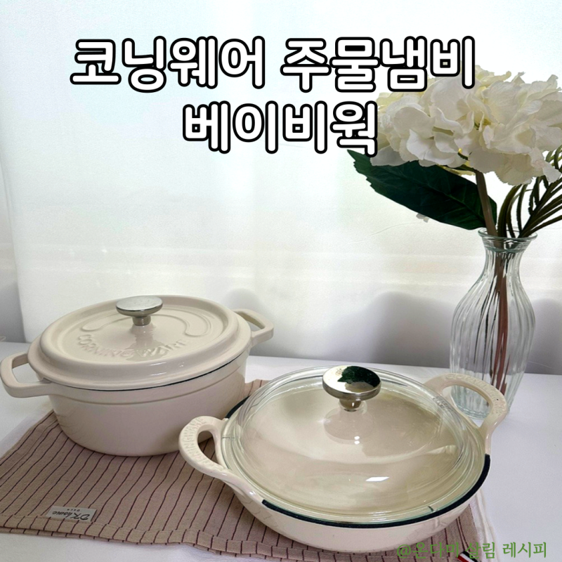 코닝웨어 르테 무쇠 냄비 20cm 주물냄비와 베이비웍 예쁜 솥밥 냄비