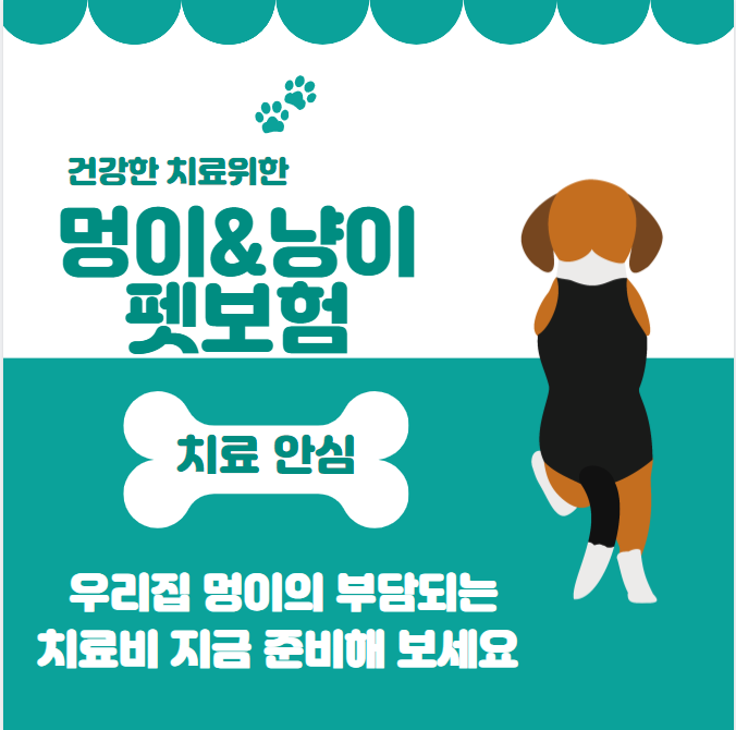  펫보험, 나의펫의 의료비를 책임지는 최적의 선택