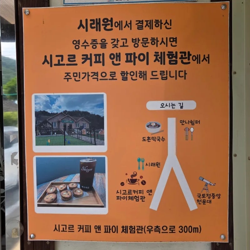 사진 5