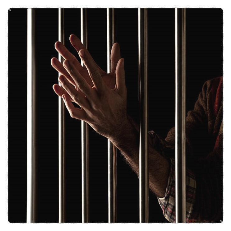은수미 <b>이재명 대통령 광복절</b> 특별사면(특사)