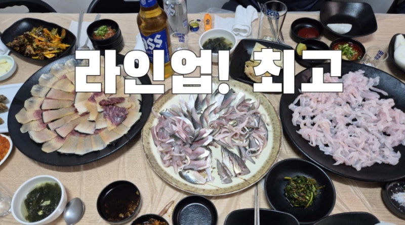 고래고기 + 전어회 + 하모회까지... 원스톱으로 해운대 [진주횟집]에서 해결