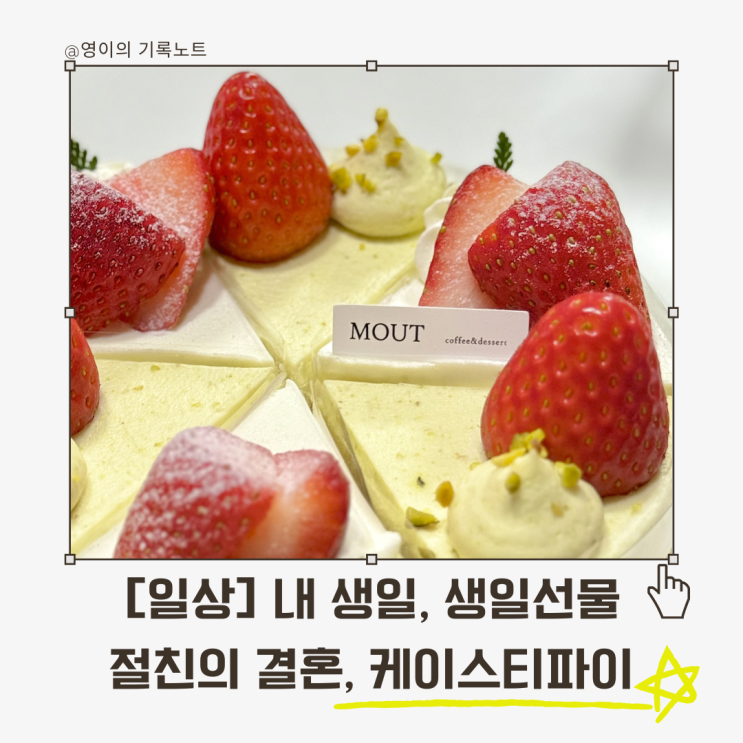  [일상] 3월 내생일, 생일선물, 절친의 결혼, 케이스티파이, 우리집 강아지 귀여워