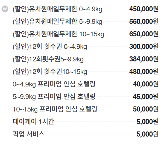 사진 6