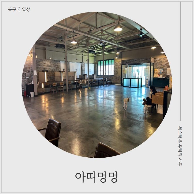 아띠멍멍