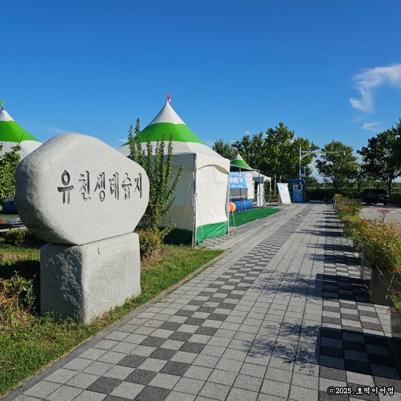 사진 2