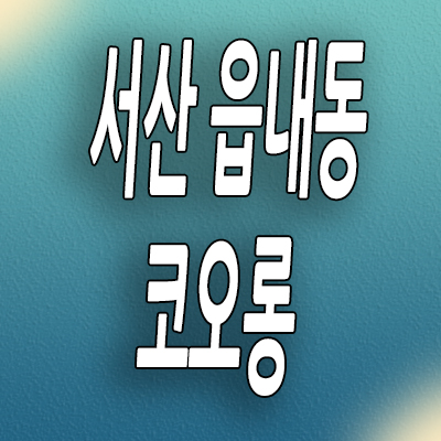  서산 읍내동 할인분양 오피스텔 호수공원 선임대 원룸 1.5룸 분양가