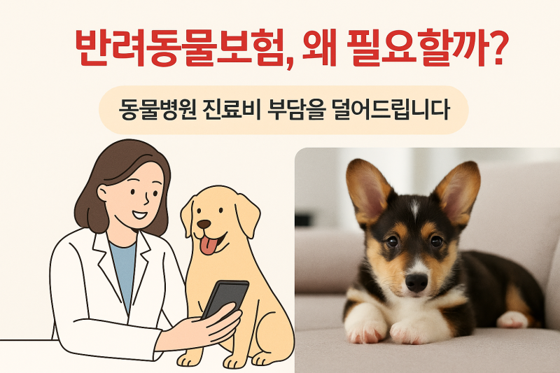 "애견보험, 선택이 아니라 필수입니다"