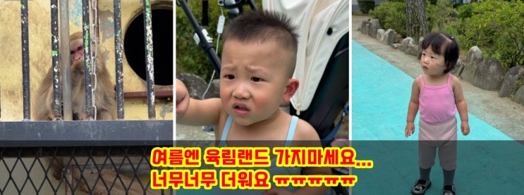  춘천동물원 육림랜드 쌍둥이 출격! 여름엔 가지마세요 진심..