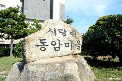 사진 7