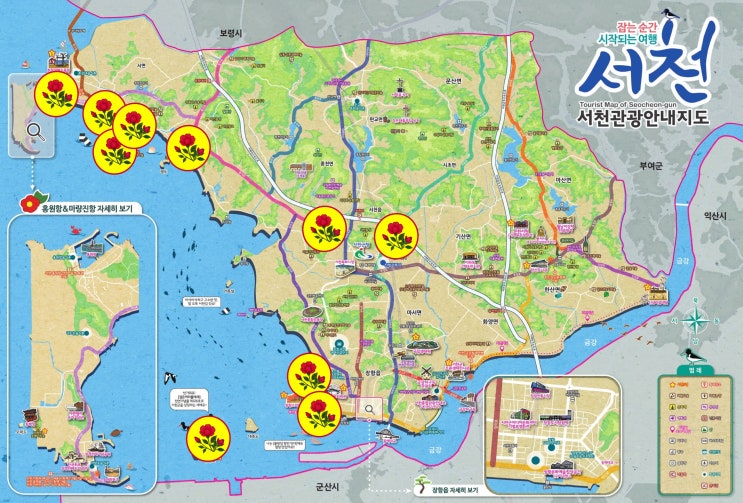  "해당화 자생지 추천 - 서천편 : 춘장대해수욕장, 조용한 감성 무대를 수놓는 해당화"