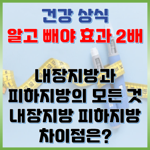  알고 빼야 효과 2배, 내장지방과 피하지방의 모든 것, 내장지방 피하지방 차이는?