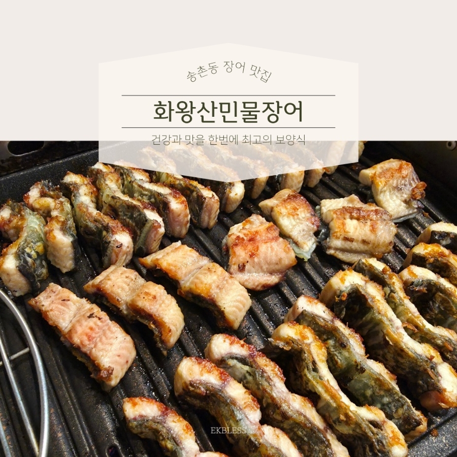 화왕산 민물장어 사진 1