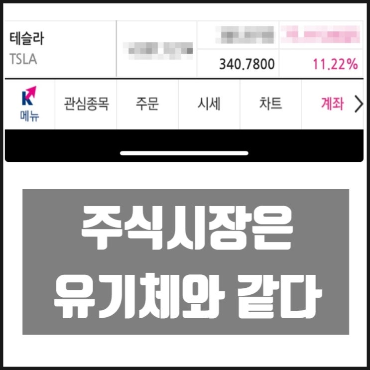 주식시장은 유기체와 같다