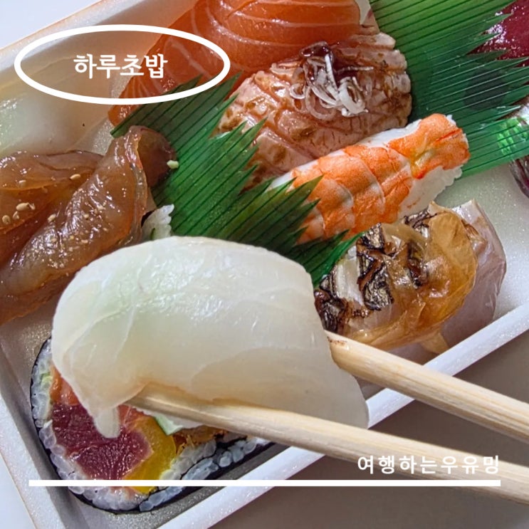  하루초밥, 신선함과 가성비 모두 잡은 분당맛집 포장후기