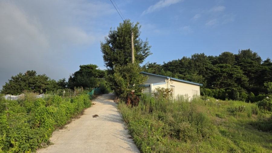 비룡산 사진 4