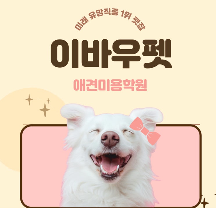  이바우펫장점 전문가 분석, 반려동물 교육의 새로운 패러다임