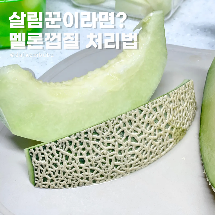 메론껍질 분리수거 멜론껍질 음식물 살림꾼은 이렇게 버려요