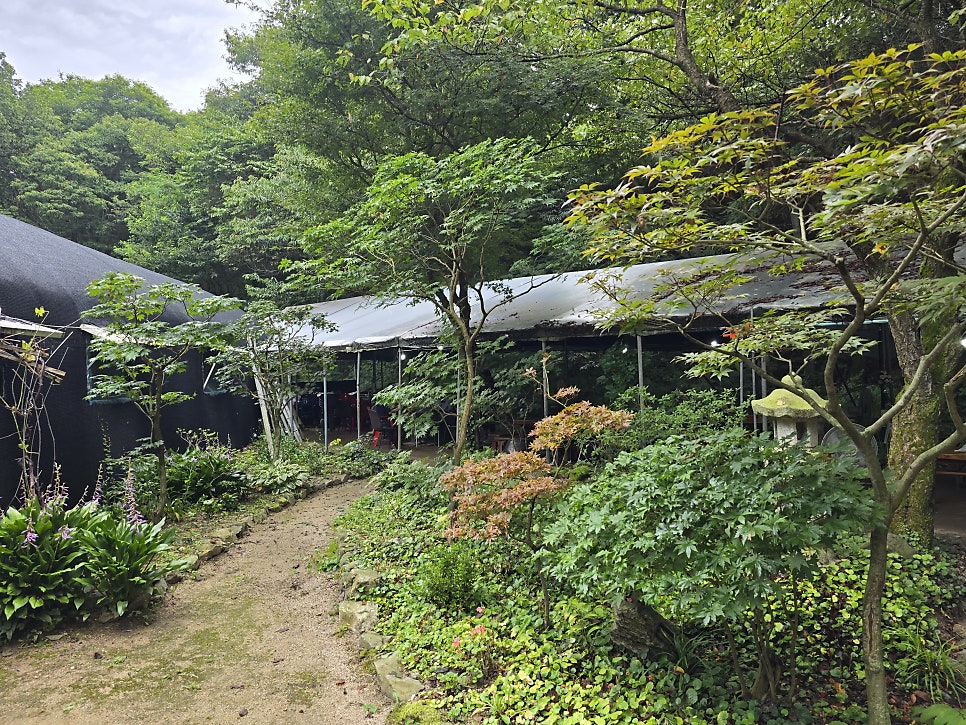 느티나무집 사진 6