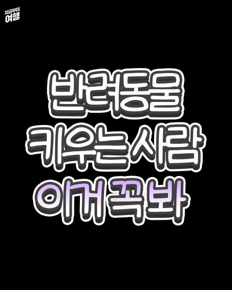  반려동물 키우시는분들 의료비 지원 제도가 있는거 아셨나요?