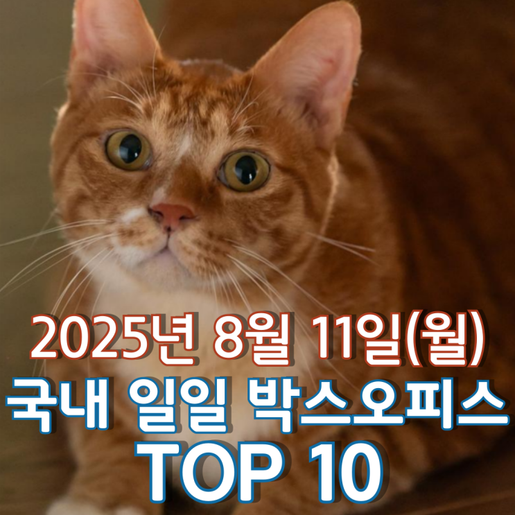  [국내 박스오피스] 일일 TOP 10 - 2025년 8월 11일(월)